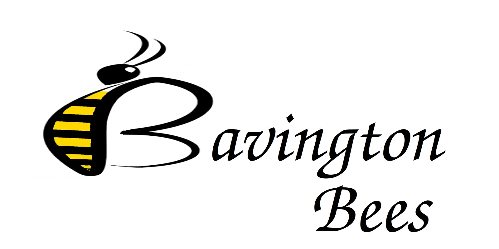 Bavington Bees logo